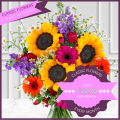 Classic Flowers - 12 Monthly Gifts